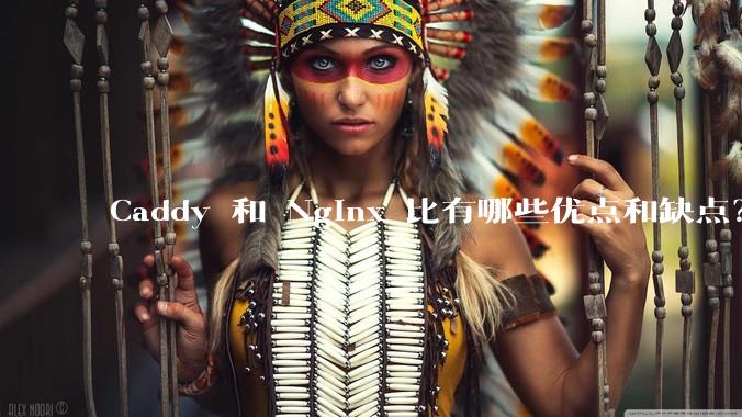 Caddy 和 Nginx 比有哪些优点和缺点？